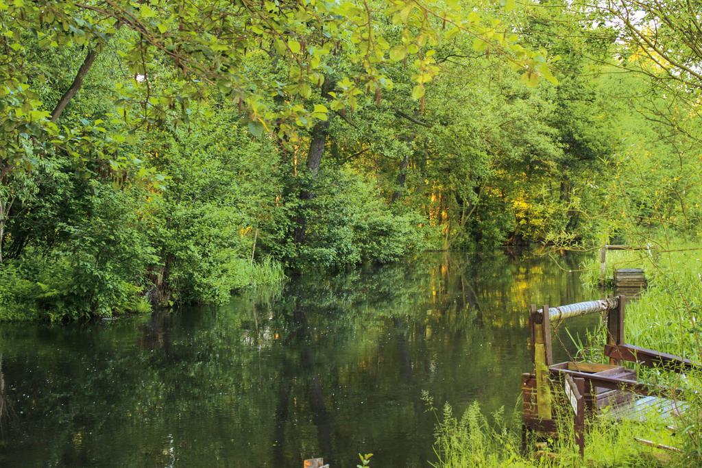 Pension Spreewaldhof Leipe エクステリア 写真